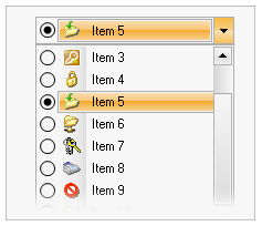 Dot_net_combo_box.png